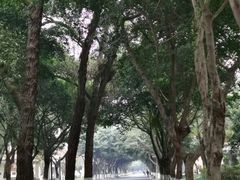 -四川大学(华西校区)