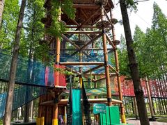 -黄海国家森林公园