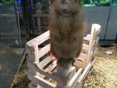 -宠物世家(仲盛世界商城店)