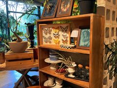 -自由生长植物工作室(深港花卉中心店)