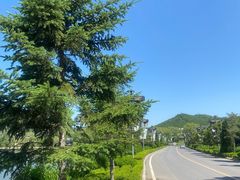 -大连铭湖国际观光牧场