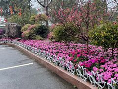 -广州莲花山旅游区