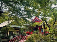 -三鹰之森吉卜力美术馆