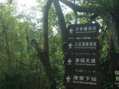 -呀诺达热带雨林