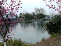 -成飞公园