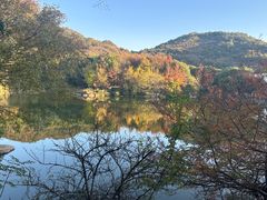 -白马涧龙池景区