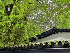 -成都杜甫草堂博物馆