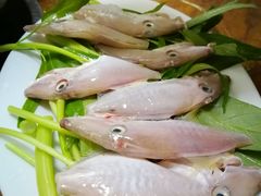 -金砂阿洲鱼册店