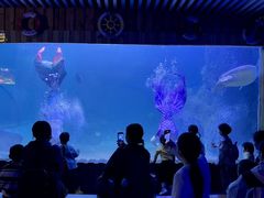 -左海海底世界