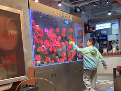 -朱光玉火锅馆(正弘城店)