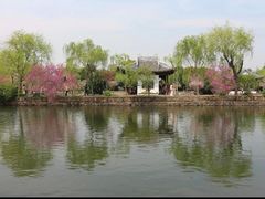 -无锡蠡湖国家湿地公园-蠡园
