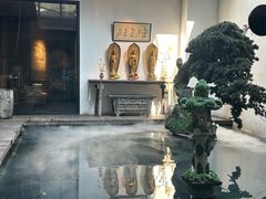 -觀芷隐轩