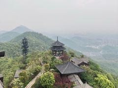 -杭州半山国家森林公园