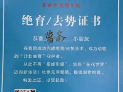 -菲丽丝宠物医院·24小时·猫科中心·免疫点(淮海分院)