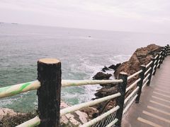 -广东惠东海龟国家级自然保护区
