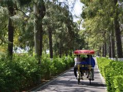 -合肥滨湖国家森林公园