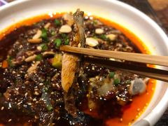 口水鸡-铁公鸡·四川料理(天环广场店)
