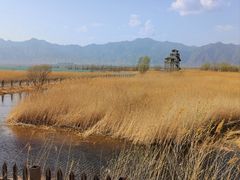 -野鸭湖国家湿地公园