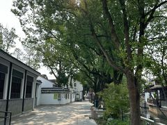 -练塘古镇