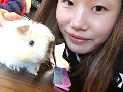 -藦茜花园宠物主题亲子互动体验馆(国顺东路店)