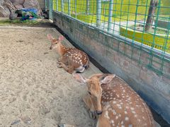 -八景休閒山莊  廣東十大名山莊