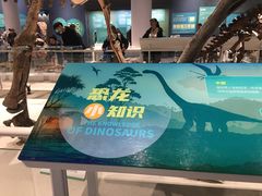 -国家自然博物馆