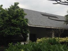 -三亚珠江南田温泉度假区