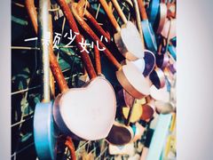 -琴岛之星摩天轮