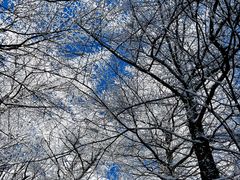 -崂山巨峰游览区