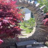 大理餐厅颜值天花板～