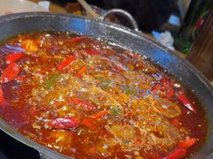 -阳阳老火锅(小南门店)