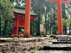 -奈良公园