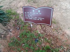 -牛岗山公园