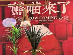 -熊喵来了火锅·牧场好肉(邯郸邯山万达店)