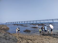 -黑石礁公园