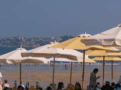 -阿弟特色海鲜餐厅·大排档(平潭店)