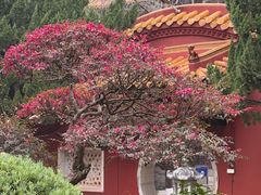 -南岳衡山风景名胜区-南岳大庙