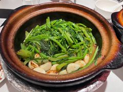 虾酱啫通心菜-煲煲好(朝阳门店)