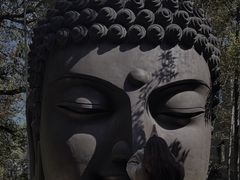 -杭州植物园