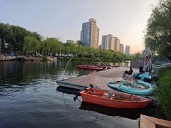 -启皓中心