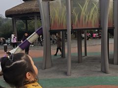 -枫香湖儿童公园