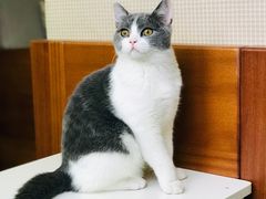 -福州肆爪动物医院
