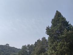 -天和晟烤鸭店(玉泉西街店)