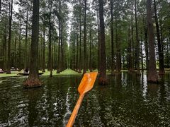-渌洋湖湿地公园