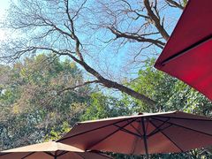 -鸡鸣汤包(红山动物园店)