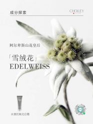 -东方美美容SPA会所