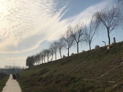 -洨河生态公园