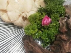 新鲜猴头菇-湯系·煲汤手艺人(东二环泰禾广场店)