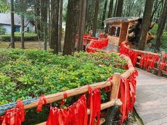 -蝴蝶泉公园