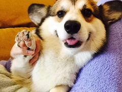 -新招鲜(桃浦路店)